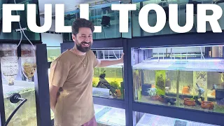 Cichlids, Plecos and MORE in this Full Fishroom Tour