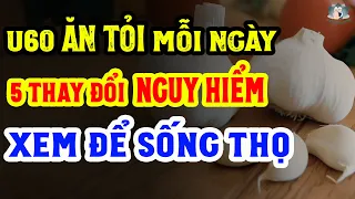 Tuổi 60: NẾU ĂN TỎI MỖI NGÀY Sẽ Xảy Ra 5 THAY ĐỔI NGUY HIỂM VỚI CƠ THỂ Xem Để Sống Khỏe, Sống Thọ