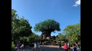 Disney's Animal Kingdom 2019 4K Tour | Walt Disney World Resort Orlando Florida Theme Parks