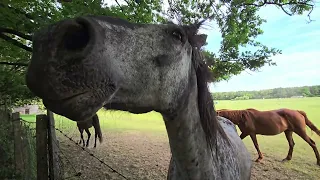 Ranč dobrá chvíla🐎🐎😍