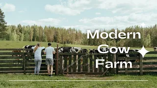 Holland's Modern Cow Farm