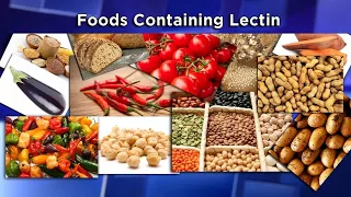 Lectins: The New Diet Enemy?