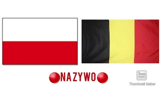 Polska vs Belgia piłka ręczna Na Żywo! dzisiaj godzina 19:30!