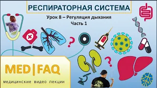 Урок 8  Регуляция дыхания  Часть 1