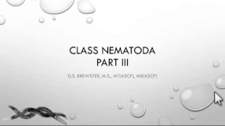 Nematoda Part 2