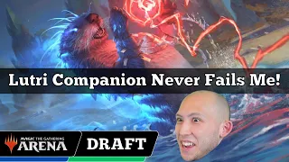 Lutri Companion Never Fails Me! | Chromatic Cube Draft | MTG Arena