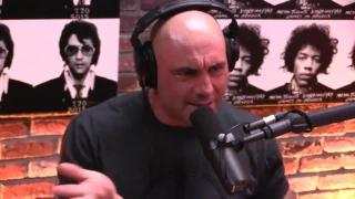 Joe Rogan on Working Summer Jobs