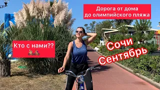 АДЛЕР СЕНТЯБРЬ 2020 / Лучший ПЛЯЖ /БАРХАТНЫЕ СЕЗОНЫ / Отдых в Сочи 2020 НЕДВИЖИМОСТЬ СОЧИ