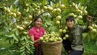 Hien and Khoa harvested guava brought to the market sell - continuing construction new wooden house.