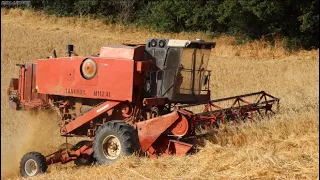 Laverda M112 Al [Soc. Agr. Masseria Giovannini] - Harvest Season 2021-