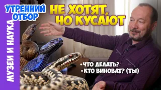 Укусила гадюка! Что делать и чего не делать? И еще немного о змеях и ядах. Игорь Фадеев.