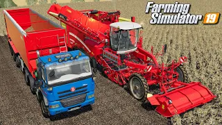 Kopanie ziemniaków - Farming Simulator 19 | #94