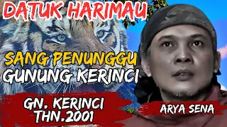 MISTERI DATUK HARIMAU SANG PENUNGGU GUNUNG KERINCI | PENDAKIAN ARYA SENA DI GUNUNG KERINCI 2002