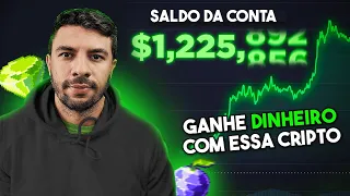 Meu Plano Para Ganhar Muito Dinheiro Com Criptomoedas em 2024 | Guia simples para Iniciantes