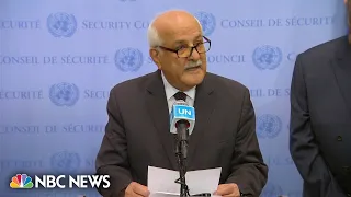 Palestinian representative to the UN: 'We are not subhumans'