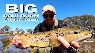 Trout Fishing Adventure on the Goulburn River - Tips and Tricks to catch BIG fish!