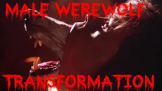 male Werewolf transformation - from male to wolf - Company Of Wolves HD