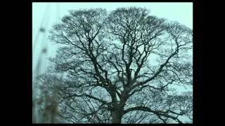 WUTHERING HEIGHTS Trailer (2012)