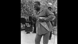 Albert King - Grant Park - Chicago Blues Festival - 6/11/68 SBD - Full Concert