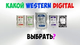 КАКОЙ WESTERN DIGITAL ВЫБРАТЬ?