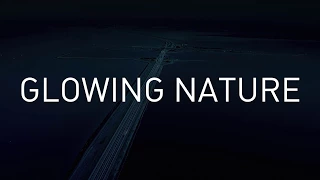 GLOWING NATURE by Daan Roosegaarde [OFFICIAL VIDEO]