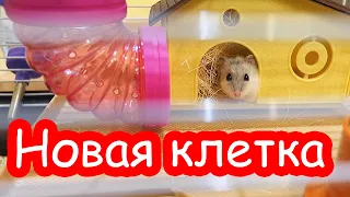 VLOG Новая клетка Стёпы и Цаци