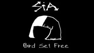 Sia - Bird Set Free (Back Vocals)