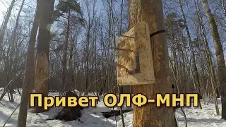 Привет Огородно-Лесной Федерации Метания Ножей и Предметов, или как я метал ножи зимой.