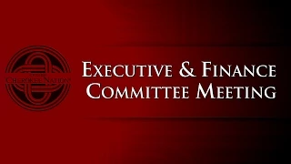 Special Executive And Finance Committee Meeting (Part 3) - Budget Hearings - 8/31/2015