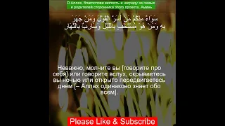 Коран Сура Ар Рад | 13:10 | Чтение Корана с русским переводом| Quran Translation in Russian