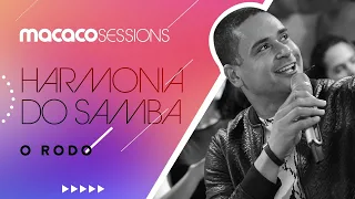 Harmonia do Samba - O Rodo | Macaco Sessions (Ao Vivo)