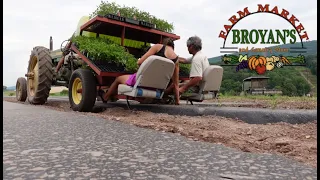 How Vegetable Farmers Grow Their Crops