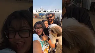 Remo kuda first beach visit❤️🏖️#youtube #ishqyouall #swv #tamil #trending #comedy #funny