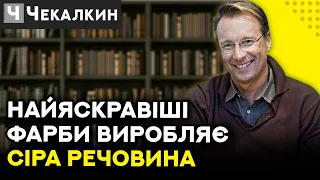 Найяскравіші фарби виробляє сіра речовина