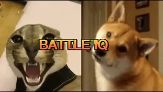 doge vs floppa