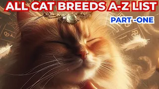 Cat Breeds Guide A - Z  List ( PART - 1) #catbreeds #cats