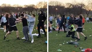 Scotland: Brawl in Edinburgh park as police officer reportedly injured