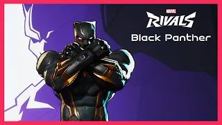 Marvel Rivals (Closed Alpha) Black Panther Gameplay