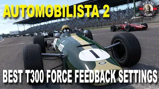 Automobilista 2 - My Best (Two!) Force Feedback Settings for T300 #automobilista2 #ams2 #simracing