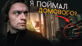 ЕСТЬ ЛИ ДОМОВОЙ В КВАРТИРЕ? Я ПРИЗВАЛ ЕГО! | Игры со страхом