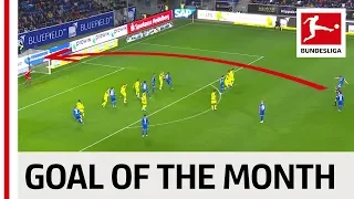 Robert Skov - November 2019's Goal of the Month Winner