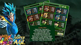 *NEW* LR AGL VEGITO BLUE Team Build and Rotations Guide in Dokkan Battle