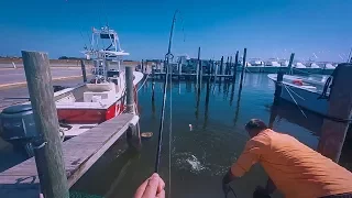 The Best Striper Fishery in America Right Now