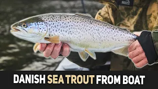 Sea Trout Fishing From Boat - Chasing Silver On Shallow Water!