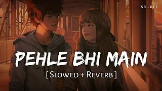 Pehle Bhi Main (Slowed + Reverb) | Vishal Mishra | Animal | SR Lofi