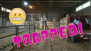 TRAPPED In Our Horse Barn!