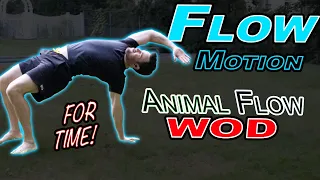 Animal Flow Circuit | Bodyweight WOD