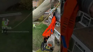 Zip lining my chainsaw down