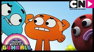 Gumball | The Move | Cartoon Network