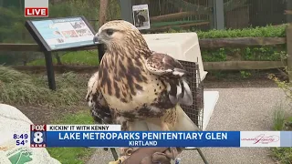 Kenny visits wildlife center at Penitentiary Glen